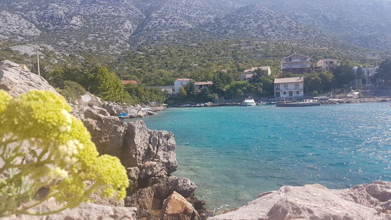 Ribarica Go Green 2 Daire Dış mekan fotoğraf